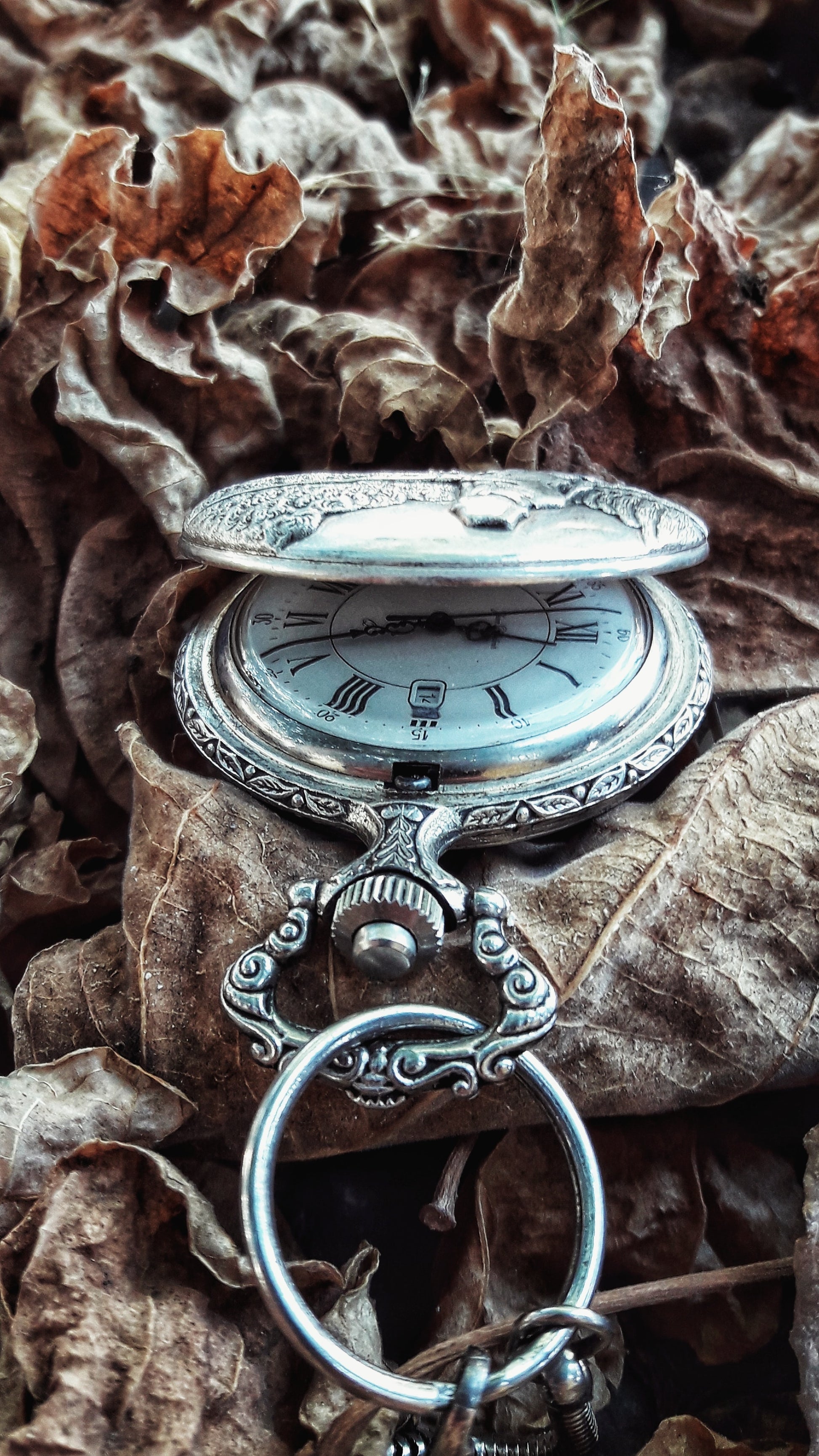 Chaimaa Berdal hand engraved silver pocket watch. Silver variant on leaves.